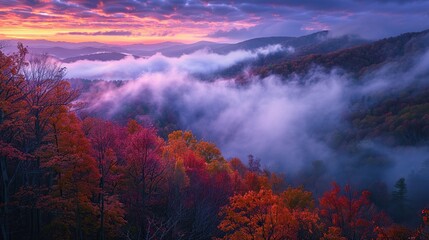 Ethereal Early Morning Nature Scene with Heavy Mist and Soft Natural Light