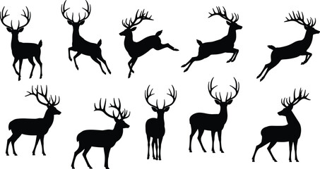 Obraz premium Deer Silhouette Set in Multiple Running and Standing Poses, Black Vector Illustration for Wildlife, Nature, Forest, and Hunting Designs