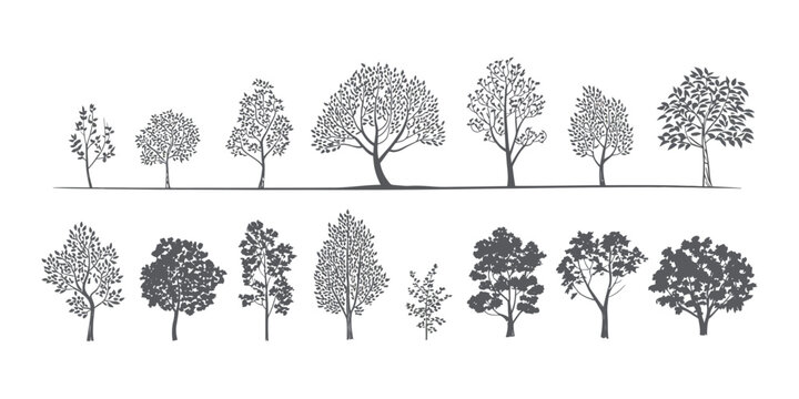 Minimalist CAD Tree Line Drawing Set, Architectural Vector Outline Trees for Landscape Design and Planning, White Stroke Foliage Illustration on Pattern Background for Elevations