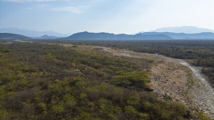 Obraz premium Dry tropical forest landscape in Lambayeque, Peru, highlighting native vegetation and the unique equatorial ecosystem of northern Peru