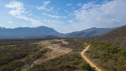 Dry tropical forest landscape in Lambayeque, Peru, highlighting native vegetation and the unique equatorial ecosystem of northern Peru