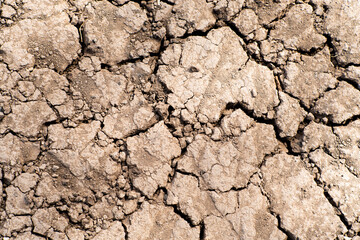 Fototapeta premium Cracked dry brown soil background, global warming effect