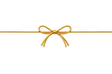 Realistic gold rope bow and horizontal line, isolated on transparent background isolated on transparent background