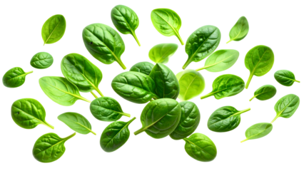 Falling fresh baby spinach leaves isolated on transparent background