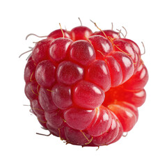 Close-Up of Fresh Raspberry 