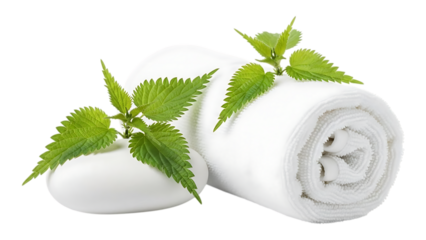 Rolled white towels with fresh green nettle leaves and smooth stones
