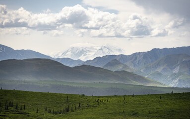 Tundra And Glaciated Peak Denali