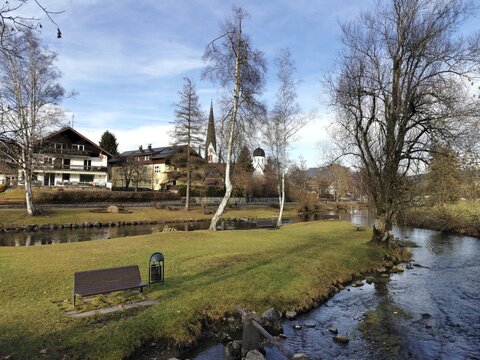 View of fish with small streams, Kirchtum in the back, Illertal, Oberallg&auml;u, Allg&auml;u, Bavaria, Germany