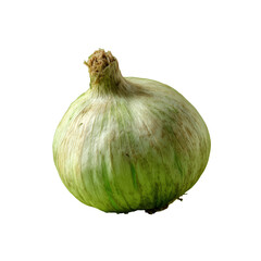 Fototapeta premium Green Onion on Lime Background