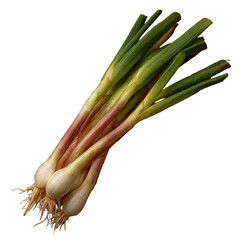 Fresh Spring Onions on Brown Background