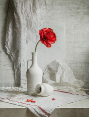 Still life with a red tulip in a white bottle on a light background