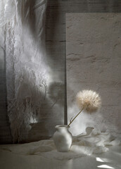 Still life with a large dandelion in a white vase in the rays of the sun