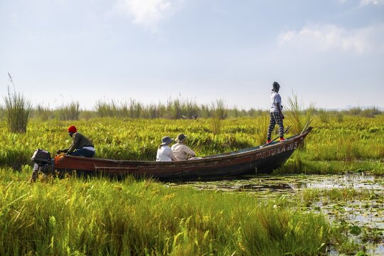 Boat with tourists in Mabamba Swamp, Tourists, Mabamba Swamp, Lake Victoria, Uganda