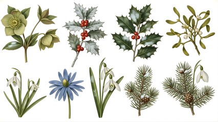 Assorted Winter Holiday Plants and Flowers Illustration Set