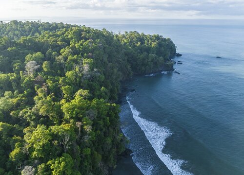 Aerial view, ocean and coast with rainforest, Playa Ventanas, Puntarenas province, Costa Rica