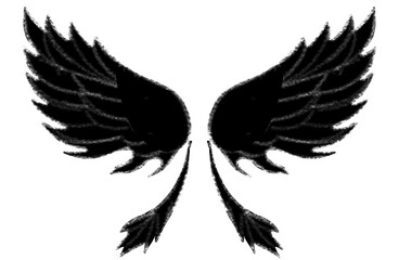 Black wings with white line accents, isolated on white background, clean symbolic design for graphic and branding use.