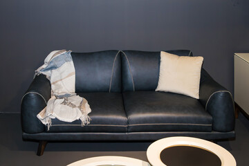 Modern leather material upholstery couch inside living room interior