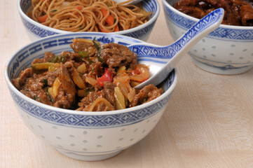 Viande de b&oelig;uf aux l&eacute;gumes servi dans un bol avec une cuill&egrave;re en gros plan