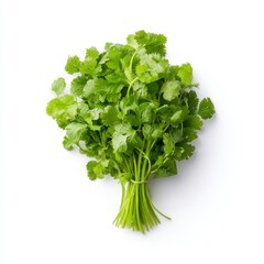 Obraz premium Fresh Green Herb Bunch of Coriander on White Background for Culinary Use in Dishes and Recipes