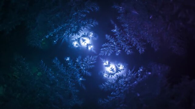 Abstract plants composition in blue and purple hazy background. - Powered by Adobe