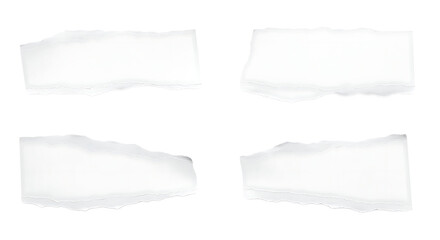 Four ripped paper pieces arranged in a grid layout on transparent background.