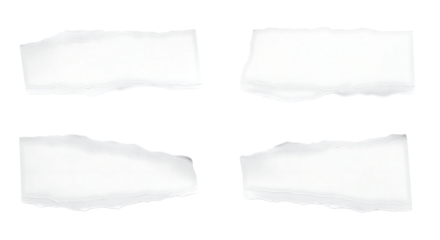 Four ripped paper pieces arranged in a grid layout on transparent background.