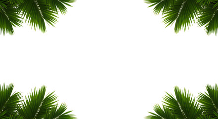 Realistic tropical palm leaves framing empty space a decorative border on transparent background.