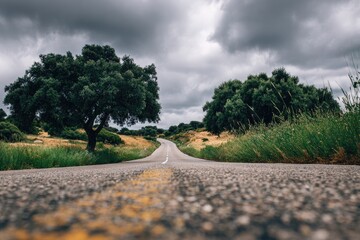 Low-angle view of an empty road winding through trees and fields under a cloudy sky
