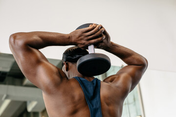 Man performing overhead dumbbell triceps extension in gym. Athletic man training triceps with dumbbell during strength workout indoors.