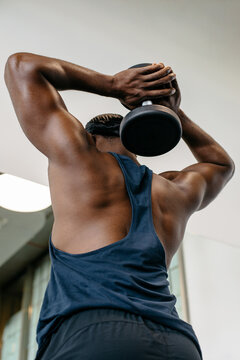 Muscular man lifting weights. Muscular athlete training triceps with overhead dumbbell exercise in gym.