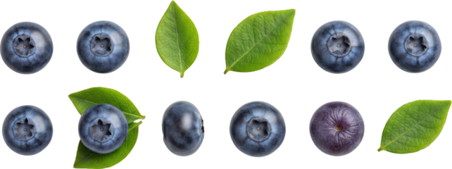 Various Compositions Of Fresh Ripe Deep Blue Blueberries Alongside Vibrant Green Leaves Isolated On A Transparent Background Blueberry Fruit Berry Leaf Nature