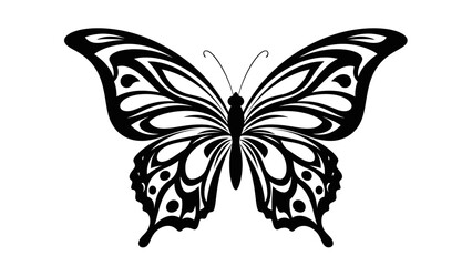 Obraz premium Elegant and stylized black butterfly with intricate wing patterns, a beautiful natural decorative element, isolated on a white background.