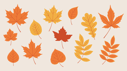 Obraz premium Collection of various autumn fall leaves with vibrant colors, isolated on a light beige background, illustrating seasonal beauty.