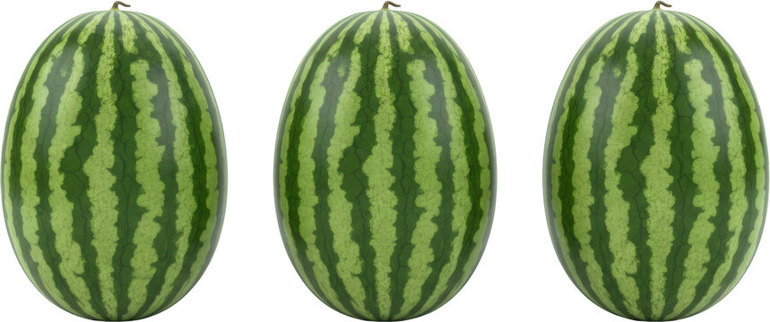 Three Whole Ripe Watermelons With Distinct Dark And Light Green Vertical Stripes Shown Against A Transparent Background 155 Characters Fruit Striped Produce