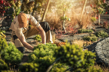 Gardener Tending to Plants in a Sunny Outdoor Setting During Daylight Hours
