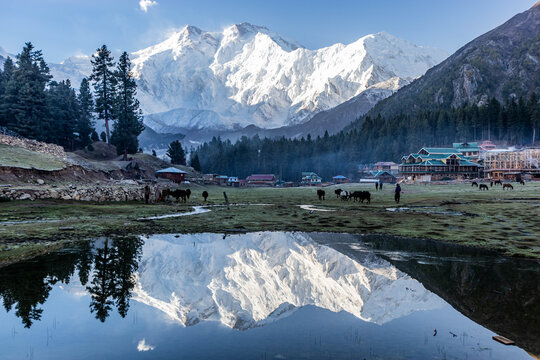 Nanga Parbat mountain reflection in a lake at Fairy Meadows in the Gilgit-Baltistan region in Pakistan