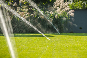 Sprinklers Water a Green Lawn in a Backyard During a Sunny Day