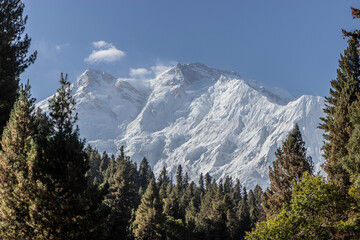 Nanga Parbat Mountain The GilgitBaltistan