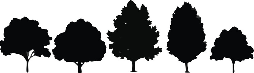 row, trees, black, white, different, sizes, next, calm, nature, peaceful, standing, tall, mood, leaf, silhouette, plant, vector, illustration, design, branch, forest, wood, outline, season, landscape,
