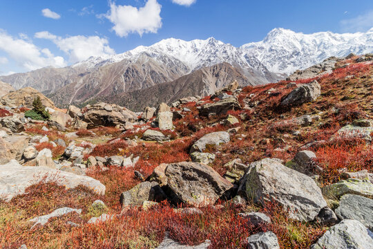 Rakhiot valley under Nanga Parbat mountain in Gilgit-Baltistan region in Pakistan