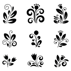 Collection of elegant black floral designs on white background