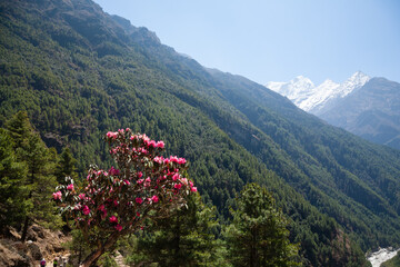 Dudh Koshi river along EBC trek, Nepal