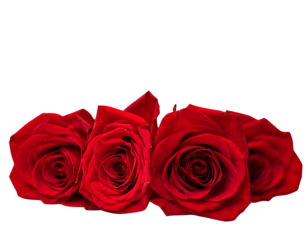 Romantic red rose bouquet with glowing bokeh background, perfect for love, valentine