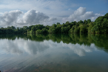 A calm lake with trees in the background. The water is still and the sky is cloudy
