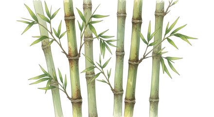 Artistic bamboo forest serene visual nature elements green stalks and leaves
