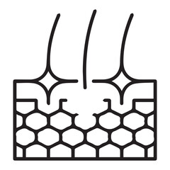 Hair follicle growth and scalp regeneration icon