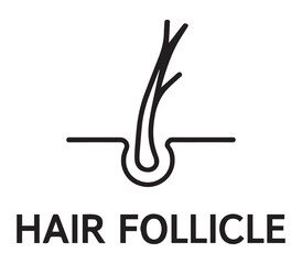 Minimalist black line art icon of a hair follicle and root