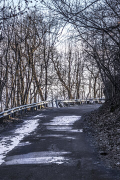 View of a winding road cutting through a forest of bare trees, with patches of snow reflecting the sky's muted light, creating a serene yet stark scene, Buda Hills, Hungary.