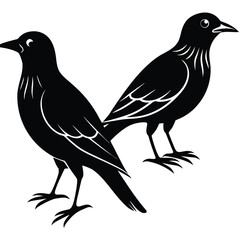 Obraz premium Birds icon vector set. fly illustration sign collection. nature symbol.