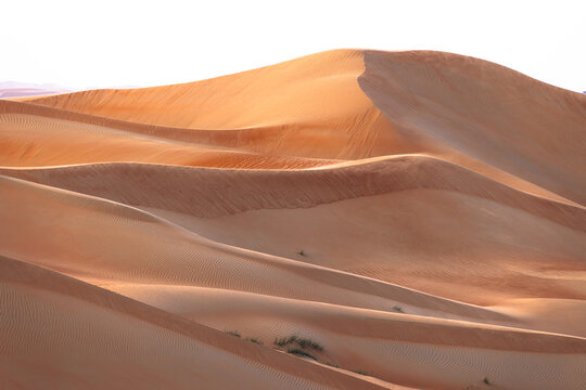 View of rippling sand dunes, painted in hues of orange and beige, stretching across the arid landscape under a pale sky, Bateen Liwa, Abu Dhabi, United Arab Emirates.